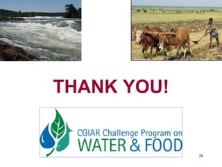 Options for increasing livestock water productivity in the Nile basin