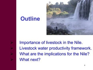 Options for increasing livestock water productivity in the Nile basin