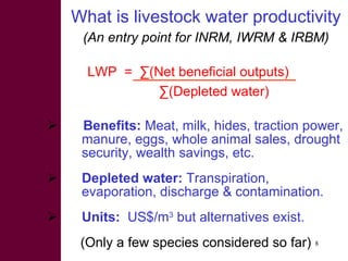 Options for increasing livestock water productivity in the Nile basin