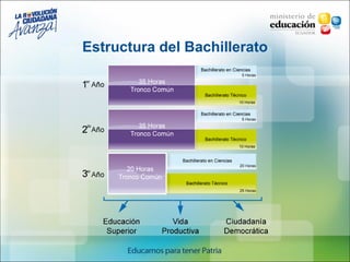 Estructura del Bachillerato 