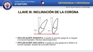 • INCLINACIÓN POSITIVA: Cuando la porción gingival es lingual
a la incisal Ejemplo: Dientes anterosuperiores
• INCLINACIÓN NEGATIVA: Cuando la zona gingival es labial a la
incisal Ejemplo: dientes de la arcada inferior
LLAVE III: INCLINACIÓN DE LA CORONA
ORTODONCIA Y ORTOPEDIA
Carrera: Técnico Superior en odontología
 