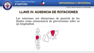 Las rotaciones son alteraciones de posición de los
dientes como consecuencia de giroversiones sobre su
eje longitudinal.
LLAVE IV: AUSENCIA DE ROTACIONES
ORTODONCIA Y ORTOPEDIA
Carrera: Técnico Superior en odontología
 