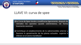 LLAVE VI: curva de spee
La Curva de Spee tiende a modificarse ligeramente después de
retirados los aparatos (puede sobretratarse, de forma
levemente excesiva)
 Contribuye al establecimiento de la sobremordida anterior y
favorece la aproximación de los planos oclusales superior e
inferior en el cierre mandibular
ORTODONCIA Y ORTOPEDIA
Carrera: Técnico Superior en odontología
ORTODONCIA Y ORTOPEDIA
Carrera: Técnico Superior en odontología
 