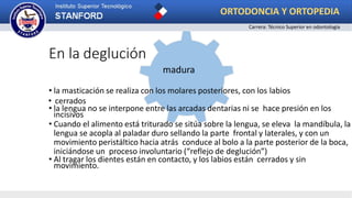 En la deglución
madura
• la masticación se realiza con los molares posteriores, con los labios
• cerrados
• la lengua no se interpone entre las arcadas dentarias ni se hace presión en los
incisivos
• Cuando el alimento está triturado se sitúa sobre la lengua, se eleva la mandíbula, la
lengua se acopla al paladar duro sellando la parte frontal y laterales, y con un
movimiento peristáltico hacia atrás conduce al bolo a la parte posterior de la boca,
iniciándose un proceso involuntario (“reflejo de deglución”)
• Al tragar los dientes están en contacto, y los labios están cerrados y sin
movimiento.
ORTODONCIA Y ORTOPEDIA
Carrera: Técnico Superior en odontología
 