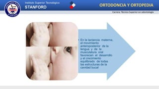 • En la lactancia materna,
el movimiento
anteroposterior de la
lengua y de la
musculatura oral
favorecen el desarrollo
y el crecimiento
equilibrado de todas
las estructuras de la
cavidad bucal
ORTODONCIA Y ORTOPEDIA
Carrera: Técnico Superior en odontología
 