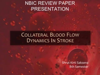 NBIC REVIEW PAPER
PRESENTATION
COLLATERAL BLOOD FLOW
DYNAMICS IN STROKE
Shrut Kirti Saksena
8th Semester
 