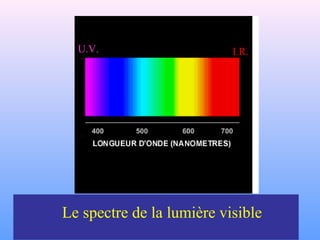 Le spectre de la lumière visible
I.R.U.V.
 