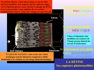 Si éclairement très faible
Vision SCOTOPIQUE
(« SANS » COULEUR)
Si éclairement suffisant
Vision PHOTOPIQUE
(EN COULEURS)
Si éclairement faible
Vision MÉSOPIQUE
LA RÉTINE
Ses capteurs photosensibles
En période diurne, vision photo pique ce son les cône
qui sont mobilisés, il ne captent que les couleurs rouge,
vert et bleu du spectre reçu). Suivant le dosage du RVD,
le cerveau procède à une addition de ces couleur
fondamentales dont le resul. Est 1 image en coul. Des obj
En période nocturne: nous avons une vision
scotopique seul les bâtonnets réagissent à faible
luminosité et le résultat est une image monochromatique
Cônes et bâtonnets sont
mobilisés, les couleurs de
l’image perçue dépend du
niveau d’éclairement.
 