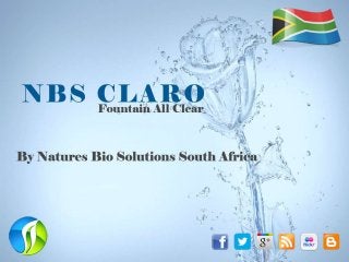 Use NBS CLARO for Algae Free Fountain 