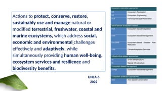 nature based solution for disaster management prevention | PPTX
