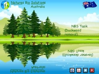 Natures Bio Solutions
Australia
ailartsuA
snoituloSoiBserutaN
NBS Tasik
(Duckweed
removal)
(lavomerdeewkcuD)
kisaTSBN
 