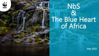 ©
COPYRIGHT
NbS
&
The Blue Heart
of Africa
May 2022
 