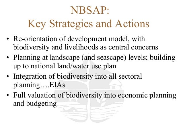 National biodiversity strategy and action plan india ppt