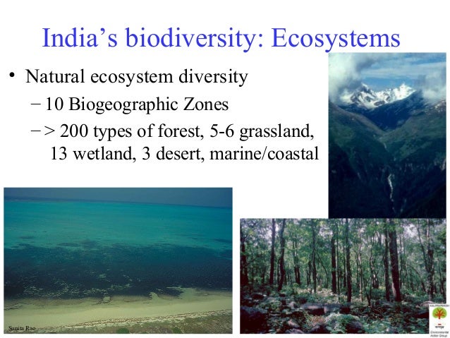 biodiversity of the indian desert and biodiversity of the indian desert and