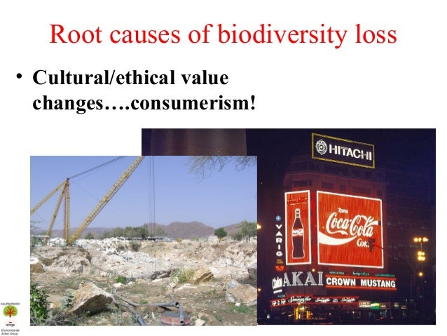 National biodiversity strategy and action plan india ppt