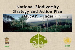 UNDPMoEF
National BiodiversityNational Biodiversity
Strategy and Action PlanStrategy and Action Plan
(NBSAP) - India(NBSAP) - India
 
