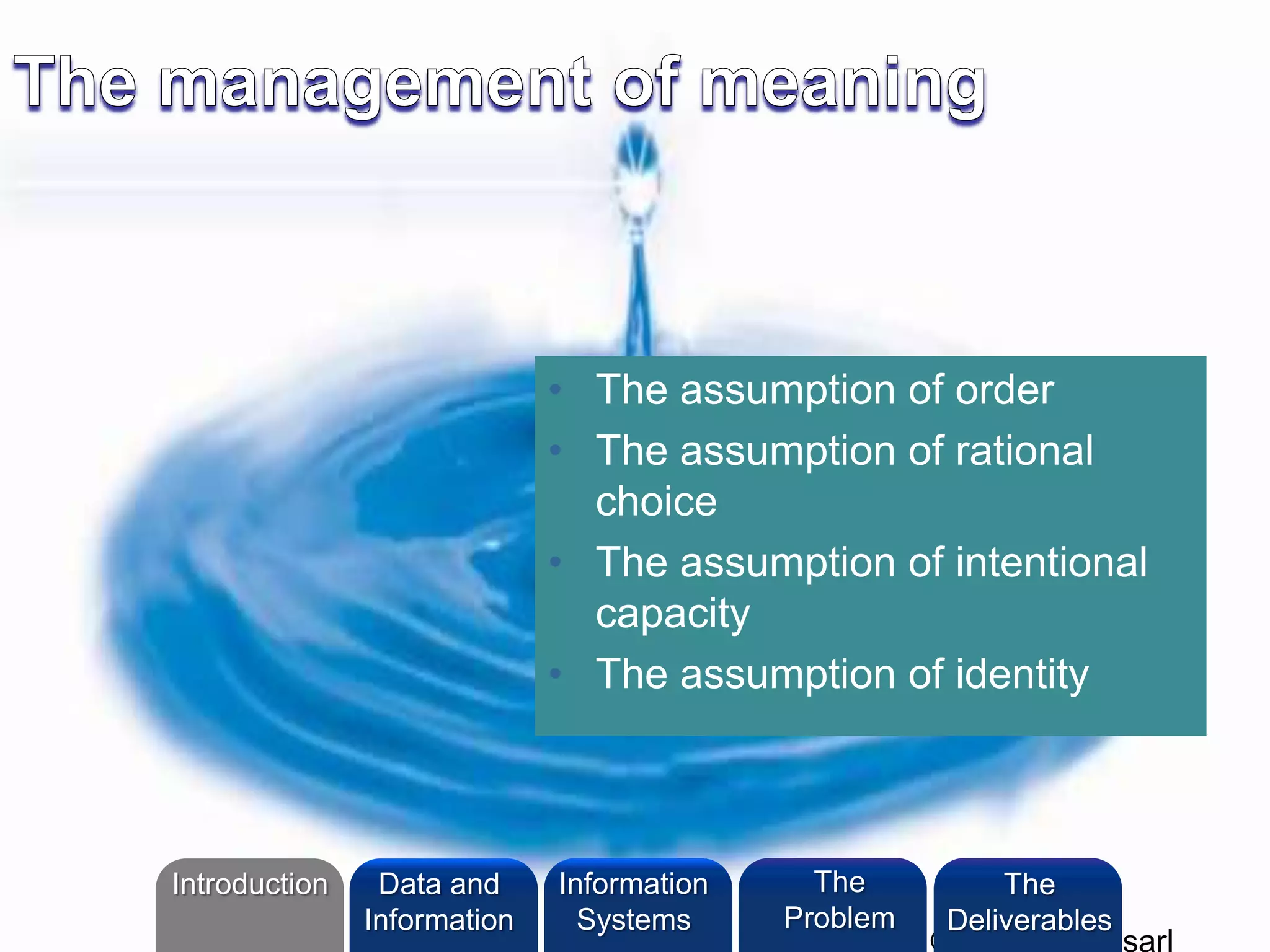 • The assumption of order
• The assumption of rational
choice
• The assumption of intentional
capacity
• The assumption of identity
©2010 LHST sarl
Introduction Information
Systems
The
Problem
Data and
Information
The
Deliverables
 