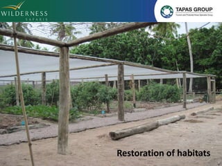 Restoration of habitats 
Restoration of habitats 
 