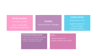 Neurobiología del Trastorno de Espectro Autista (TEA) | PPTX