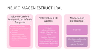 Neurobiología del Trastorno de Espectro Autista (TEA) | PPTX