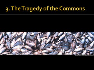 National	
  Oceanic	
  and	
  Atmospheric	
  Administration	
  
 