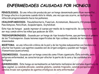 PENICILIOSIS. Es una infección producida por un hongo denominado penicillium marneffei, .
El hongo afecta a la persona cuando ésta lo inhala, una vez que eso ocurre, se multiplica la
infección progresivamente hacia los pulmones.
HIALOHIFAMICOSIS. Pseudallescheria, Fusarium, Acremonium, Beauvaria, Chrysosporium,
Paecilomyces, Penicillium, Scopulariopsis, Scytalidium
Este tipo de hongos puede ingresar al cuerpo por medio de la respiración. Se caracteriza por
ser muy común entre los niños que padecen de VIH.
TRICHOSPORONOSIS. Causada por un hongo de tipo levaduriforme, que pertenece al género
de los Trischosporon. Causa lesiones superficiales de tipo cutáneo, además de las lesiones
diseminadas.
MICETOMA. es una infección crónica de la piel y de los tejidos subyacentes con tendencia a
afectar los huesos. Los agentes causales son de origen exógeno y pueden ser hongos
filamentosos (eumicetoma).
CIGOMICOSIS. Causada por un hongo conocido como filium cigomicota. Ésta extraña, pero
peligrosa enfermedad, se caracteriza por afectar la parte de la cara y las cavidades oro
faríngeas.
CANDIDIASIS. Este hongo es normalmente un habitante inofensivo del sistema digestivo y la
zona vaginal, La candida albicans, candida globata, candida tropicalis, candida parapsilosis y
candida krusei son ejemplos de agentes etiológicos de esta enfermedad.
ENFERMEDADES CAUSADAS POR HONGOS
 