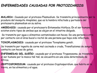 MALARIA: Causada por el protozoo Plasmodium. Se transmite principalmente por la
picadura del mosquito Anoplales, que es la hembra infectada y portadora del
protozoario plasmodium en su saliva.
AMIBIASIS: causada por el protozoario Entamoeba Histlyca. En el ser humano
existen siete tipos de amibas que se alojan en el intestino delgado.
Se transmite por agua o alimentos contaminados con heces. De una persona a otra
por contacto con el área bucal o rectal de una persona que haya sido infectada.
TOXOPLASMOSIS: causada por el protozoo Toxoplasma gondii.
Se transmite por ingesta de carne mal cocinada o cruda, Transfusiones de sangre,
contacto con heces de gatos.
ENFERMEDAD DEL SUEÑO: causada por el protozoo Trypanosoma. se transmite
al ser humano por la mosca tsé tsé; se encuentra en una zona determinada de
África.
CRYPTOSPORIDIUM: causada por el protozoo Cryptosporidium. que habita en la
tierra, en los alimentos y el agua.
ENFERMEDADES CAUSADAS POR PROTOZOARIOS
 