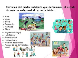 Factores del medio ambiente que determinan el estado
de salud o enfermedad de un individuo:
 Aire
 Agua
 Suelo
 Geografía
 Animales
 Flora
 Ingreso (trabajo)
 Habitación
 Promiscuidad
 hacinamiento
 Nivel de escolaridad
 Acceso de los servicios de
salud
 