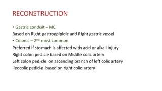 nca oesophagus.pptx