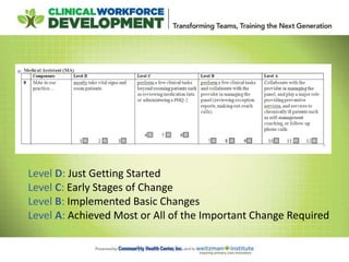 Level D: Just Getting Started
Level C: Early Stages of Change
Level B: Implemented Basic Changes
Level A: Achieved Most or All of the Important Change Required
 