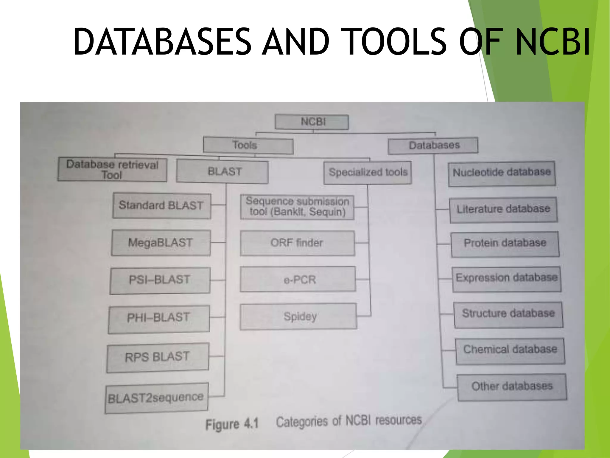 DATABASES AND TOOLS OF NCBI
 