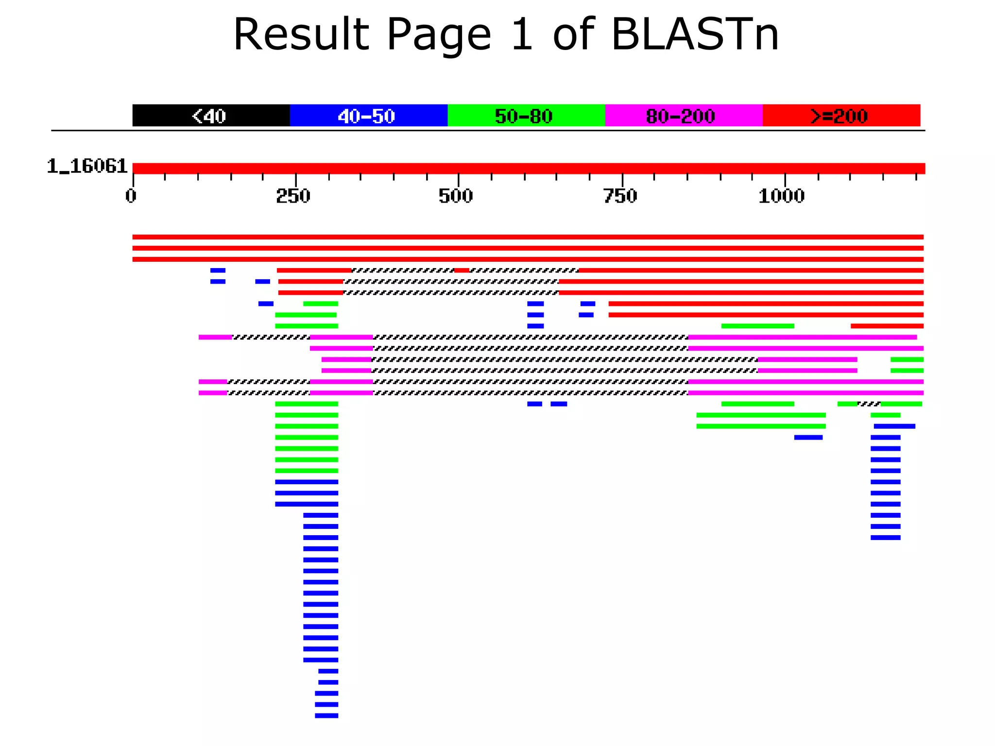 Result Page 1 of BLASTn   