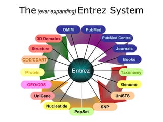 Entrezgene Graph NCBI | PPT