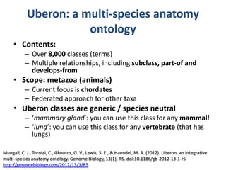 Uberon: a multi-species anatomy
ontology
• Contents:
– Over 8,000 classes (terms)
– Multiple relationships, including subclass, part-of and
develops-from
• Scope: metazoa (animals)
– Current focus is chordates
– Federated approach for other taxa
• Uberon classes are generic / species neutral
– ‘mammary gland’: you can use this class for any mammal!
– ‘lung’: you can use this class for any vertebrate (that has
lungs)
Mungall, C. J., Torniai, C., Gkoutos, G. V., Lewis, S. E., & Haendel, M. A. (2012). Uberon, an integrative
multi-species anatomy ontology. Genome Biology, 13(1), R5. doi:10.1186/gb-2012-13-1-r5
http://genomebiology.com/2012/13/1/R5
 