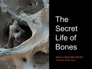 The Secret Life of Bones Marcus Webb BSc ND DO Osteopath & Naturopath 