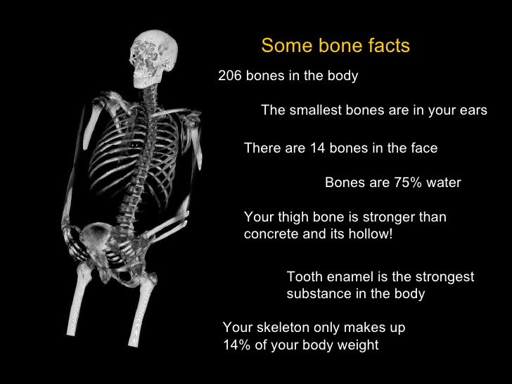 Bone Health, Nutrients & Diet