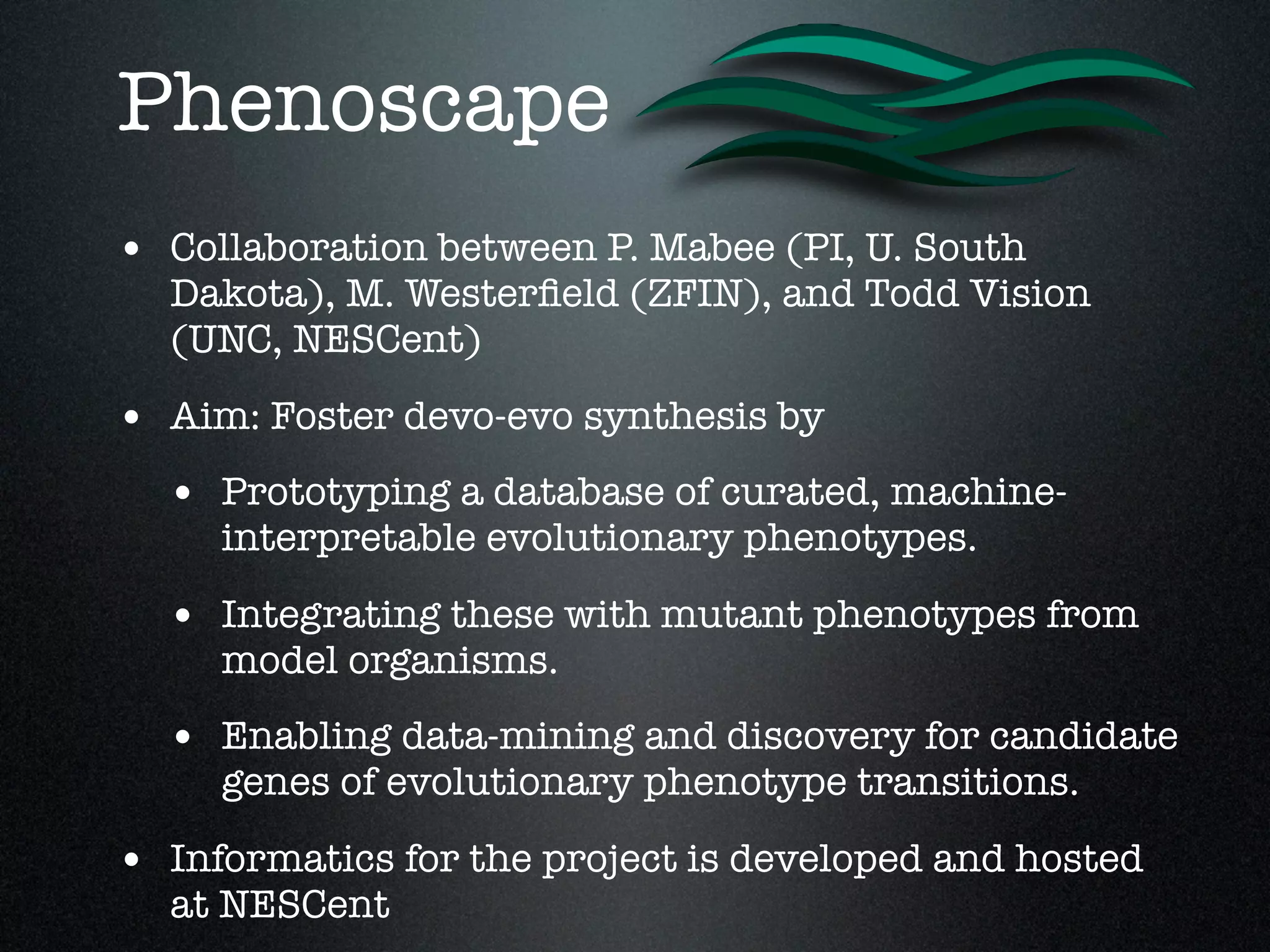 Phenoscape
• Collaboration between P. Mabee (PI, U. South
  Dakota), M. Westerﬁeld (ZFIN), and Todd Vision
  (UNC, NESCent)

• Aim: Foster devo-evo synthesis by
  • Prototyping a database of curated, machine-
     interpretable evolutionary phenotypes.

  • Integrating these with mutant phenotypes from
     model organisms.
  • Enabling data-mining and discovery for candidate
     genes of evolutionary phenotype transitions.

• Informatics for the project is developed and hosted
  at NESCent
 