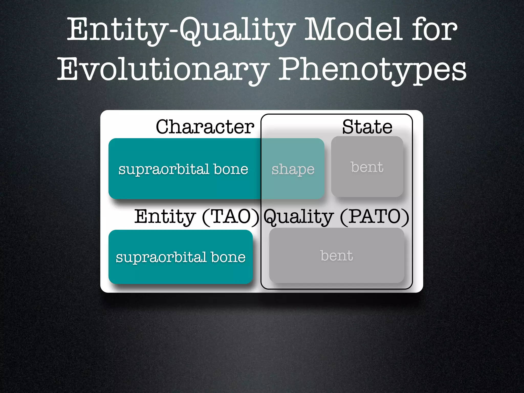 Entity-Quality Model for
Evolutionary Phenotypes
        Character                State
   supraorbital bone   shape      bent


     Entity (TAO) Quality (PATO)
   supraorbital bone           bent
 