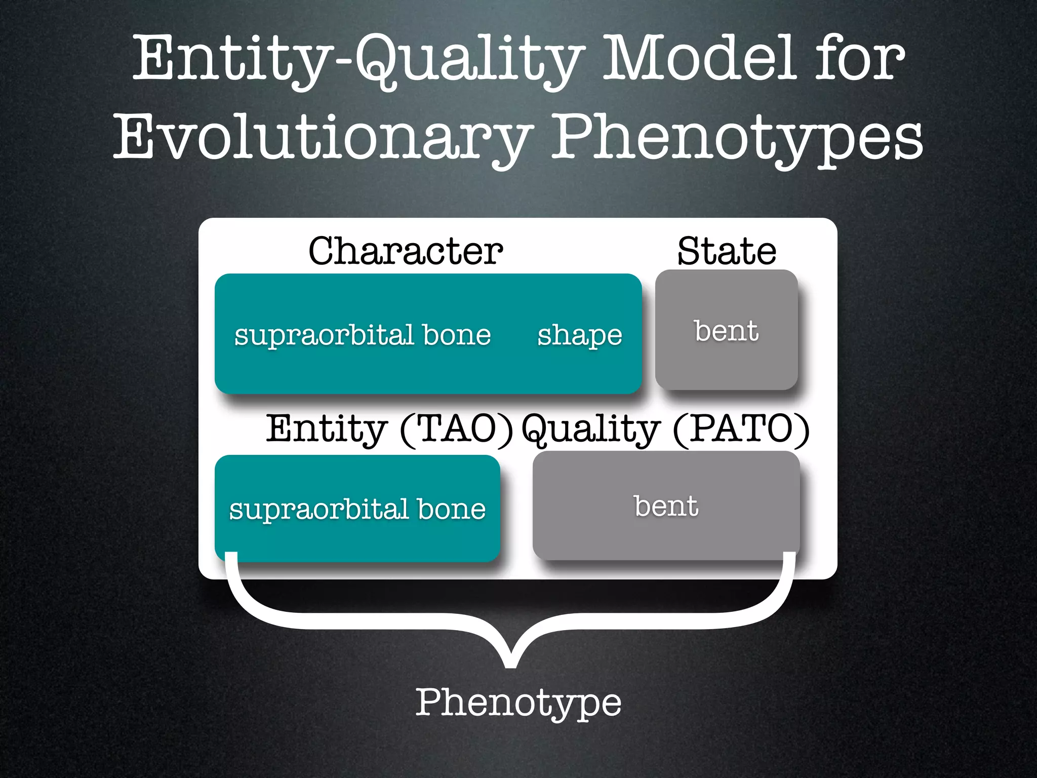 Entity-Quality Model for
Evolutionary Phenotypes
        Character                State
   supraorbital bone   shape      bent


     Entity (TAO) Quality (PATO)
  }supraorbital bone           bent




               Phenotype
 