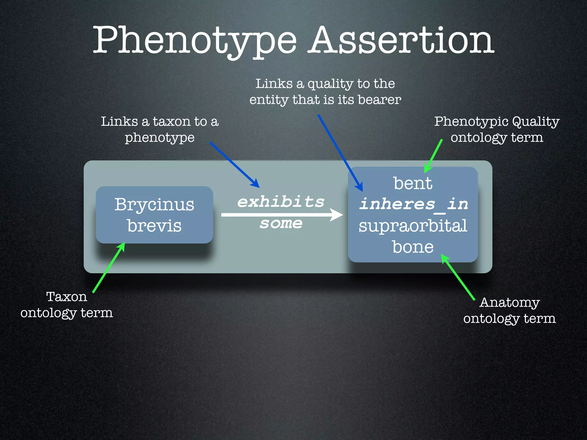 Phenotype Assertion
                                  Links a quality to the
                                 entity that is its bearer
           Links a taxon to a                                Phenotypic Quality
              phenotype                                        ontology term


                                                     bent
                Brycinus        exhibits          inheres_in
                 brevis           some            supraorbital
                                                     bone

    Taxon                                                          Anatomy
ontology term                                                    ontology term
 