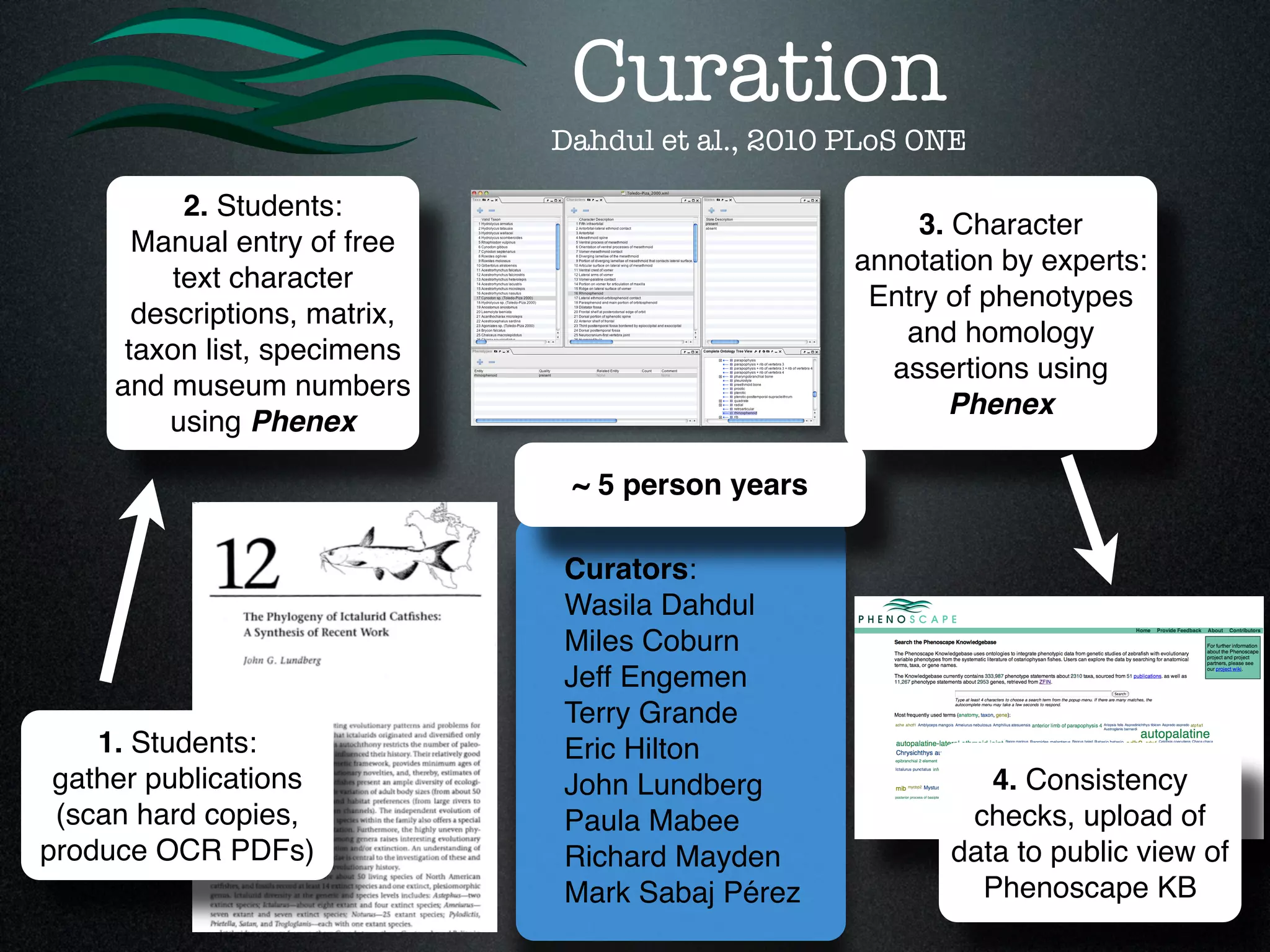 Curation
                               Dahdul et al., 2010 PLoS ONE

           2. Students:
                                                        3. Character
       Manual entry of free
                                                   annotation by experts:
          text character
                                                    Entry of phenotypes
       descriptions, matrix,
                                                      and homology
      taxon list, specimens
                                                     assertions using
     and museum numbers
                                                          Phenex
         using Phenex

                                ~ 5 person years

                               Curators:
                               Wasila Dahdul
                               Miles Coburn
                               Jeff Engemen
                               Terry Grande
    1. Students:               Eric Hilton
 gather publications           John Lundberg                 4. Consistency
 (scan hard copies,            Paula Mabee                 checks, upload of
produce OCR PDFs)              Richard Mayden             data to public view of
                               Mark Sabaj Pérez             Phenoscape KB
 