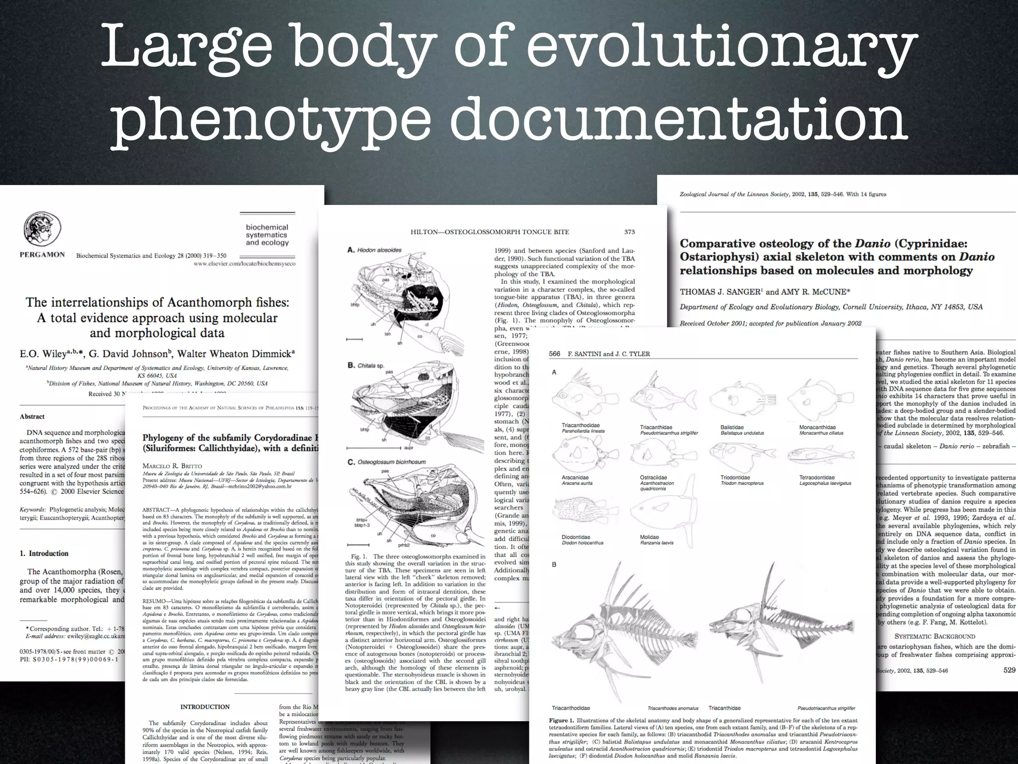 Large body of evolutionary
phenotype documentation
 