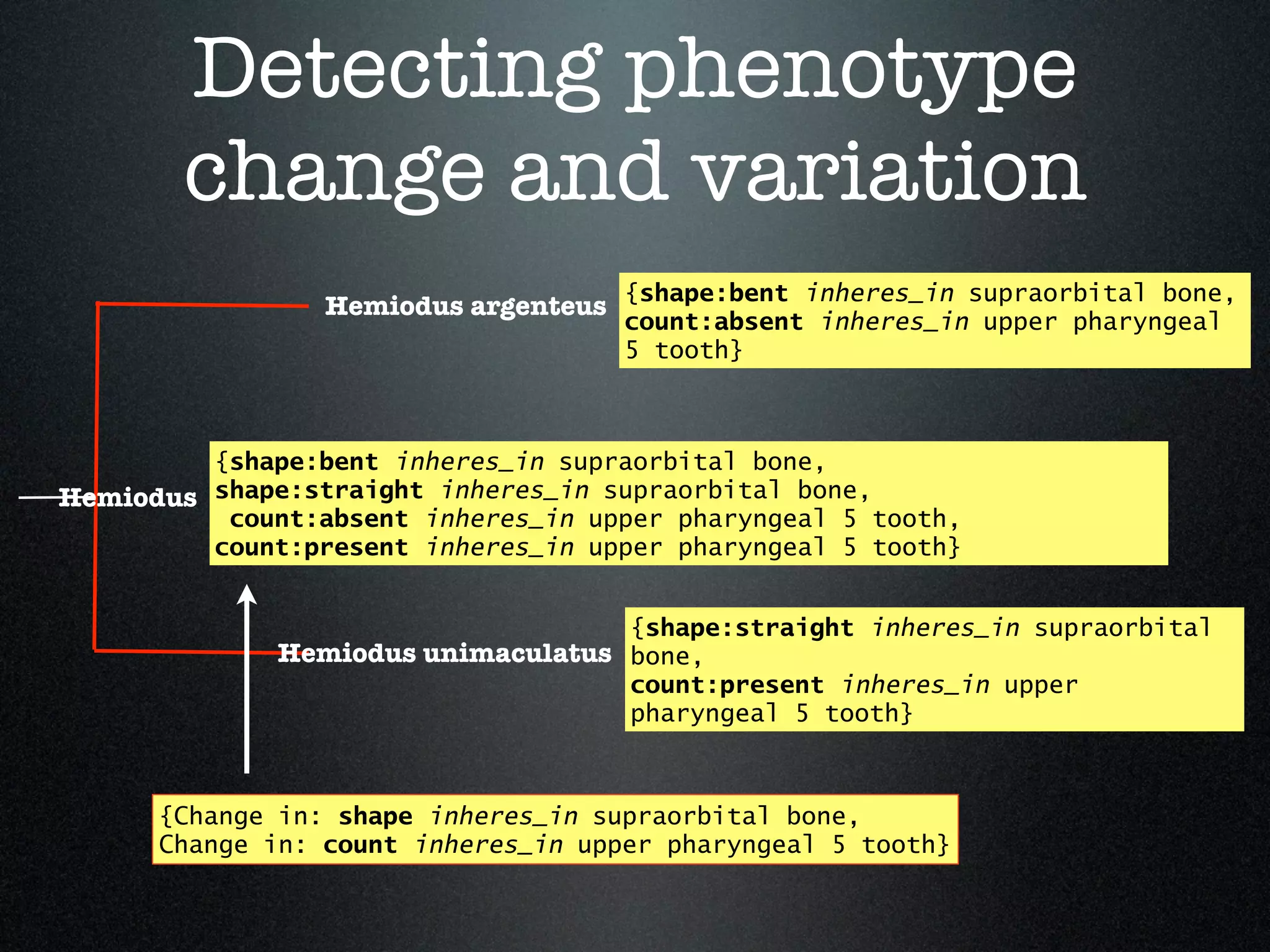 Detecting phenotype
        change and variation
                 Hemiodus argenteus {shape:bent inheres_in supraorbital bone,
                                     count:absent inheres_in upper pharyngeal
                                     5 tooth}



         {shape:bent inheres_in supraorbital bone,
Hemiodus shape:straight inheres_in supraorbital bone,
          count:absent inheres_in upper pharyngeal 5 tooth,
         count:present inheres_in upper pharyngeal 5 tooth}


                                    {shape:straight inheres_in supraorbital
              Hemiodus unimaculatus bone,
                                    count:present inheres_in upper
                                    pharyngeal 5 tooth}



      {Change in: shape inheres_in supraorbital bone,
      Change in: count inheres_in upper pharyngeal 5 tooth}
 