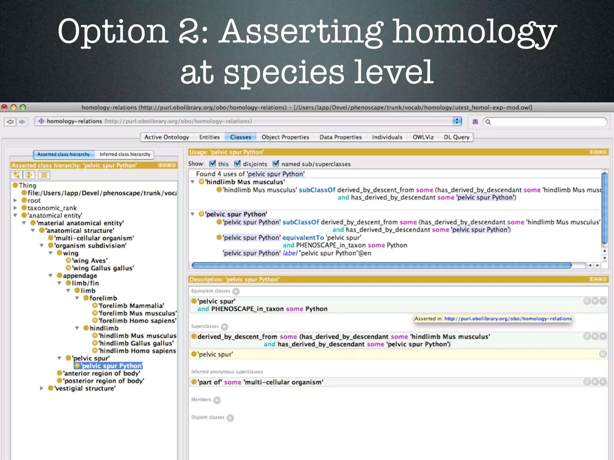 Option 2: Asserting homology
       at species level
 
