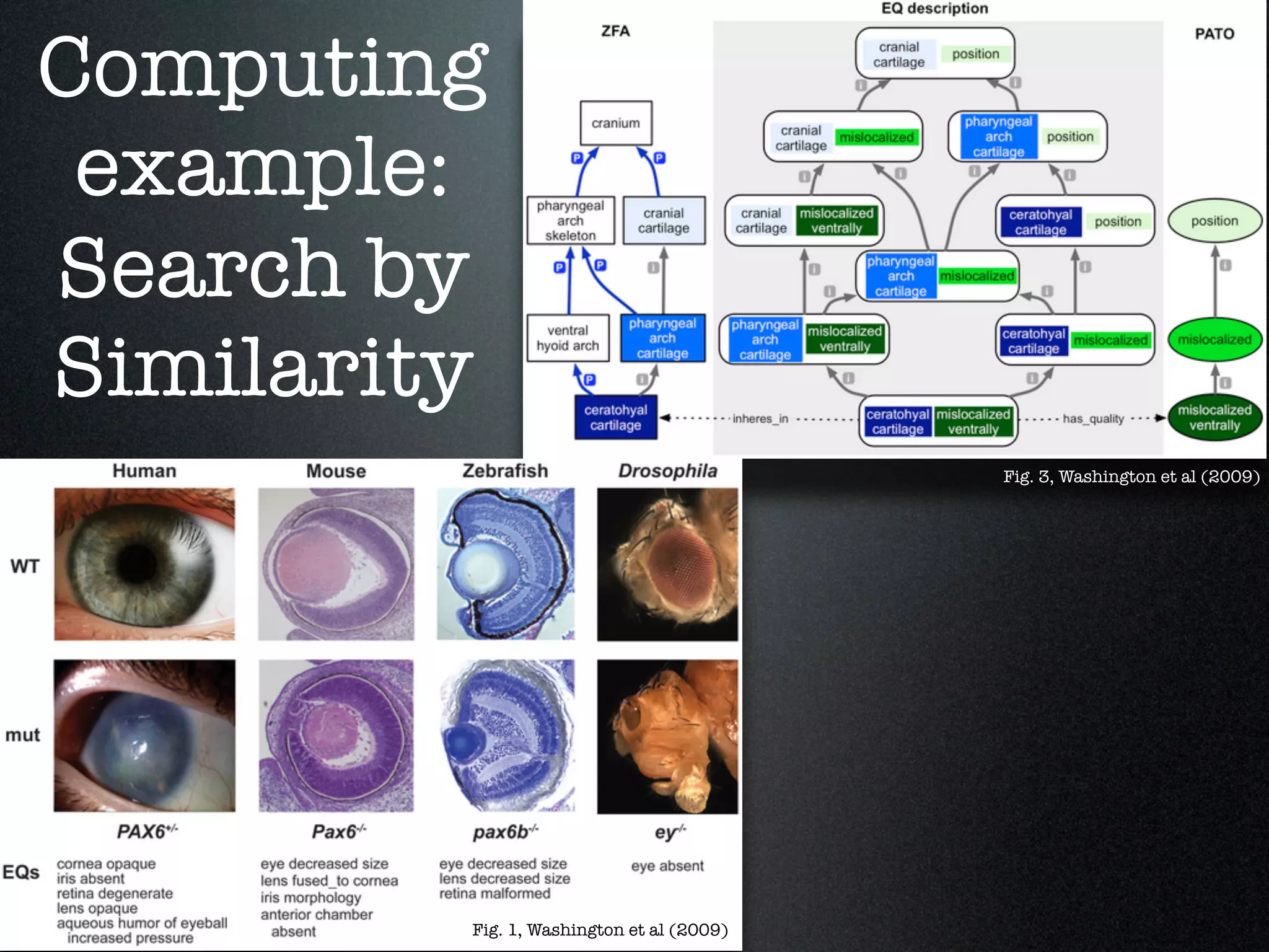 Computing
 example:
Search by
Similarity
                                           Fig. 3, Washington et al (2009)




         Fig. 1, Washington et al (2009)
 