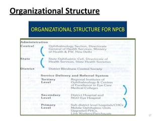 Organizational Structure
17
 