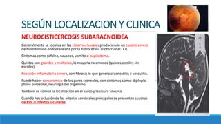 SEGÚN LOCALIZACION Y CLINICA
NEUROCISTICERCOSIS SUBARACNOIDEA
Generalmente se localiza en las cisternas basales produciendo un cuadro severo
de hipertensión endocraneana por la hidrocefalia al obstruir el LCR.
Síntomas como cefalea, nauseas, vomito o papiledema.
Quistes son grandes y múltiples, la mayoría racemosos (quistes estriles sin
escólex).
Reacción inflamatoria severa, con fibrosis lo que genera aracnoiditis y vasculitis.
Puede haber compromiso de los pares craneales, con síntomas como: diplopía,
ptosis palpebral, neuralgia del trigémino.
También es común la localización en el surco y la cisura Silviana.
Cuando hay oclusión de las arterias cerebrales principales se presentan cuadros
de EVC o infartos lacunares.
 