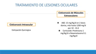 TRATAMIENTO DE LESIONES OCULARES
Cisticercosis Intraocular
Extirpación Quirúrgica
Cisticercosis de Músculos
Extraoculares
★ ABZ: 15 mg/Kg/d en 2 dosis
diarias, más hasta 1200 mg/d
por 10 - 14 d
★ Corticoide: Prednisona 1
mg/Kg/d o Dexametasona 0.1
mg/Kg/d
 