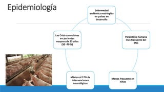 Epidemiología Enfermedad
endémica restringida
en países en
desarrollo
Parasitosis humana
mas frecuente del
SNC
Menos frecuente en
niños
México el 12% de
intervenciones
neurológicas
Las Crisis convulsivas
en pacientes
mayores de 25 años
(50 -70 %)
 