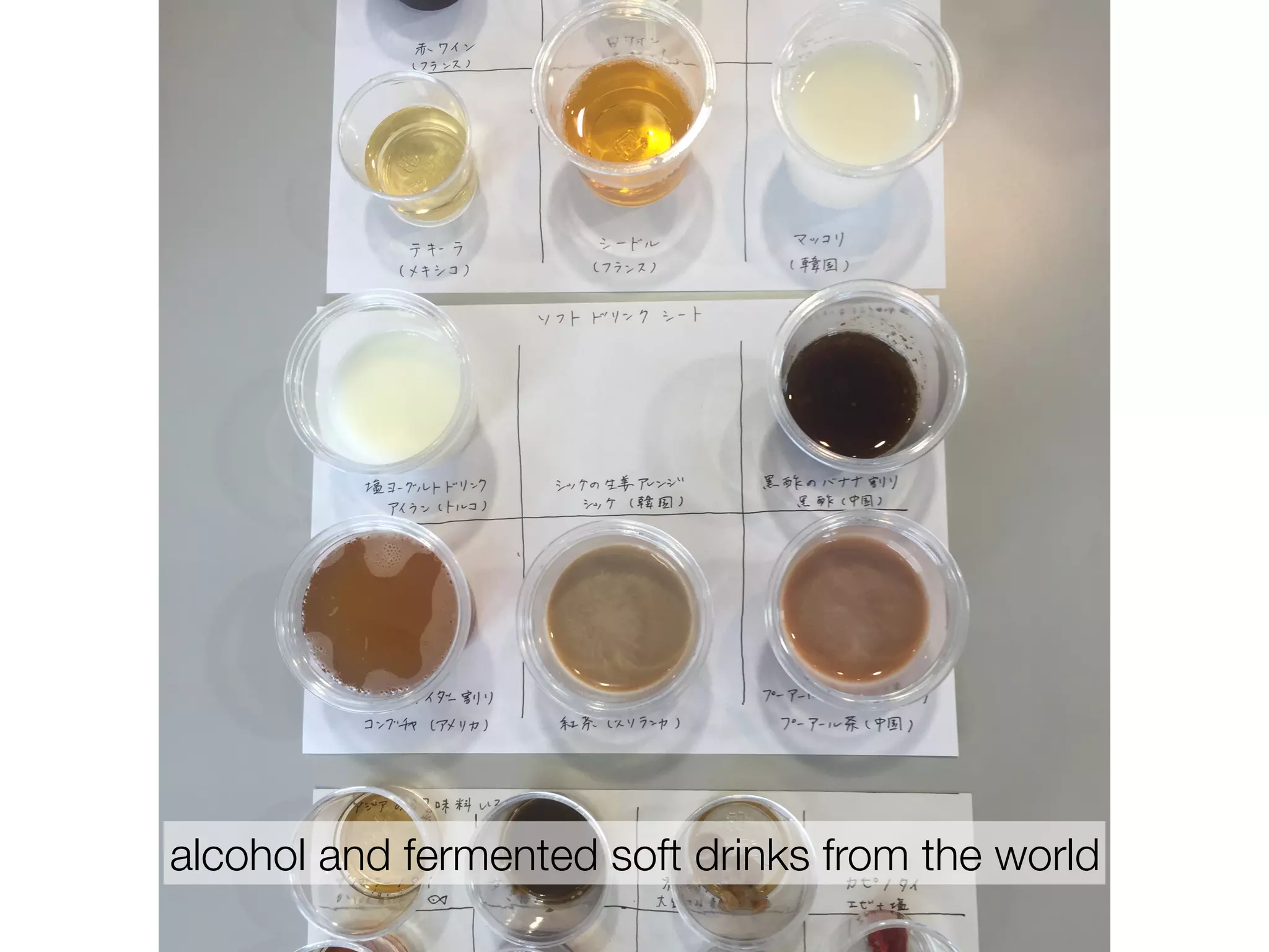alcohol and fermented soft drinks from the world
 